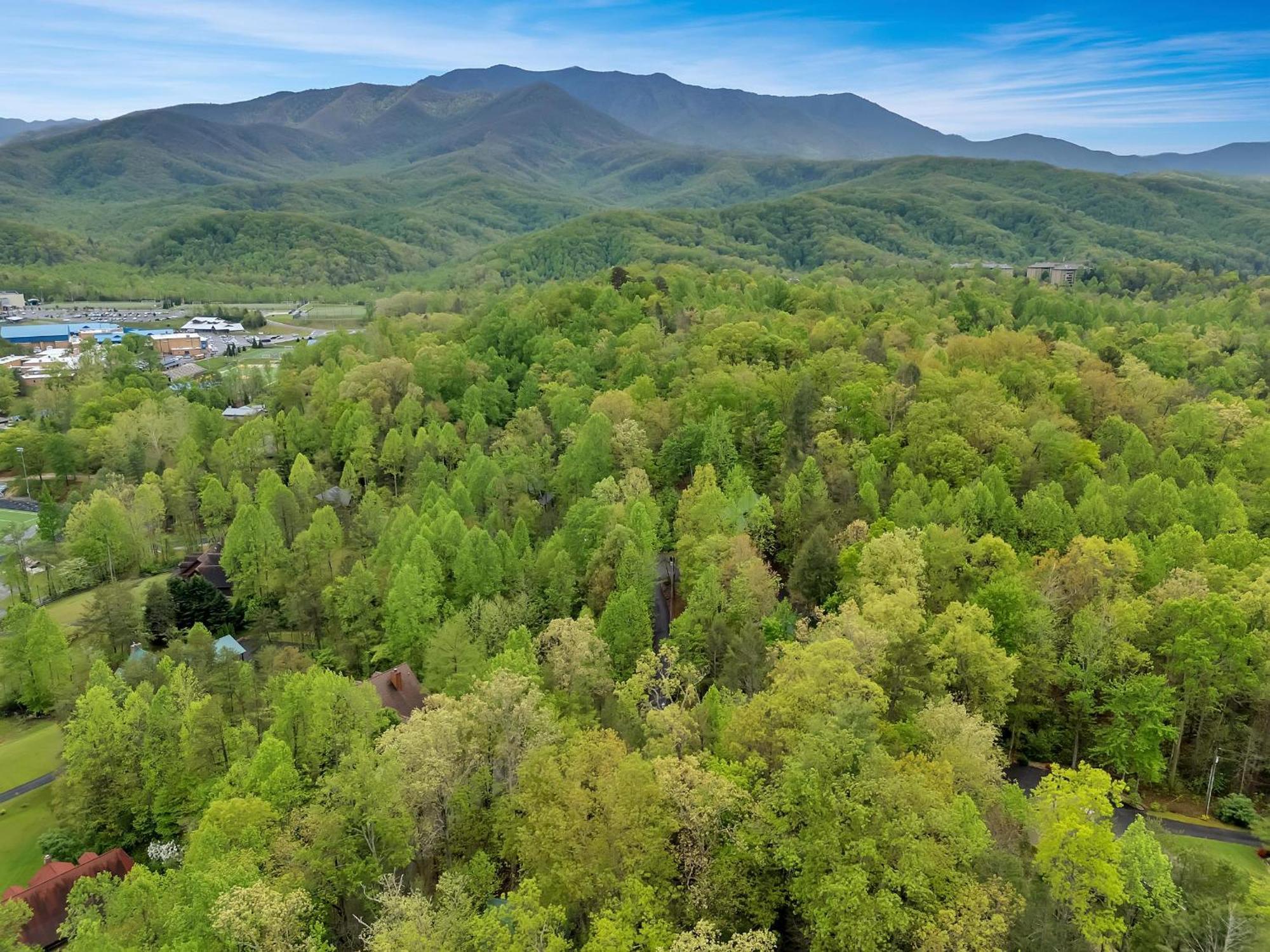 Foxy Lady #1531 Gatlinburg Exterior foto