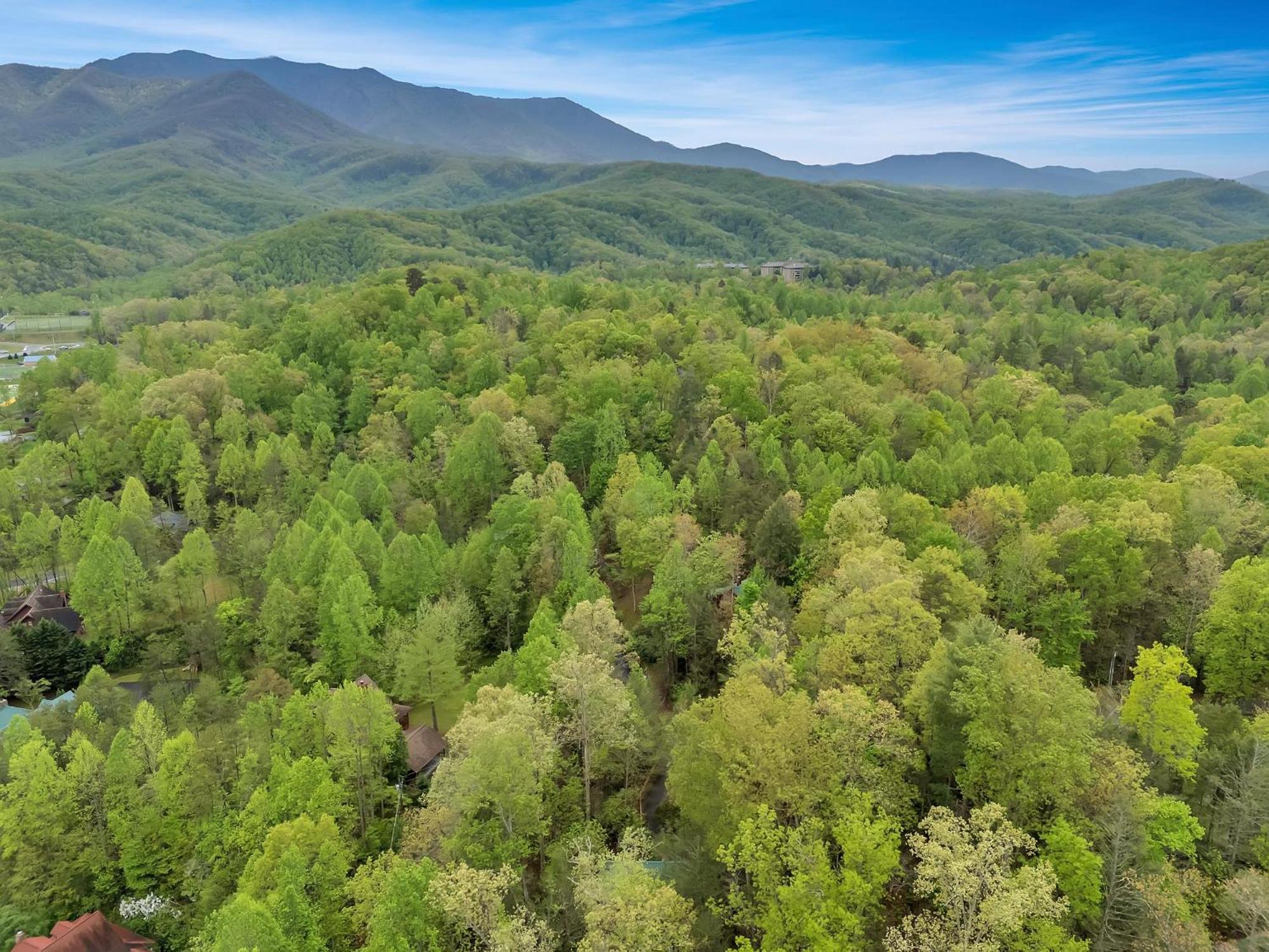 Foxy Lady #1531 Gatlinburg Exterior foto